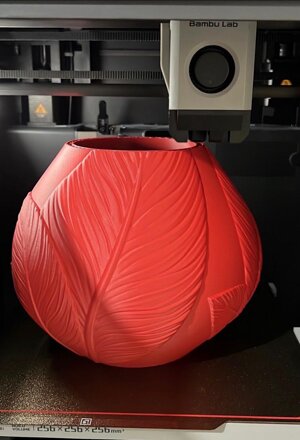 whatsapp image 2026-03-04 at 13